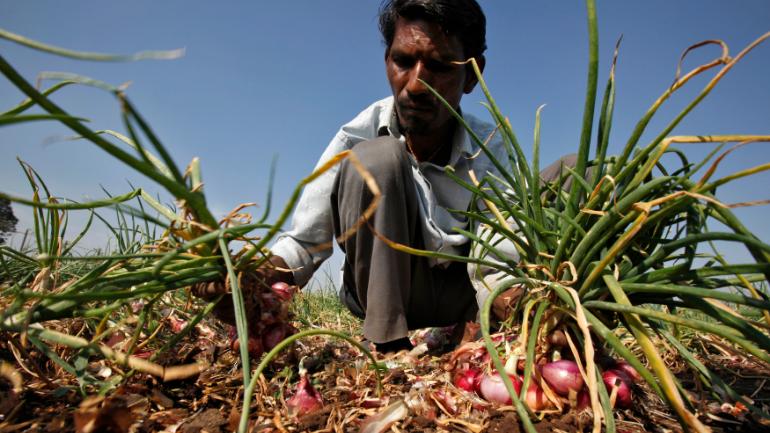 Farmer sends Rs 6 to CM Fadnavis, says spent Rs 2 lakh on onions, earned just Rs 6