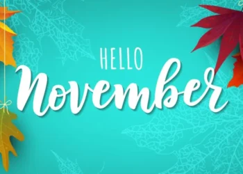 Find our top picks of November’s must-mess around