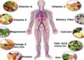 The Role of Vitamins and Minerals in the Body