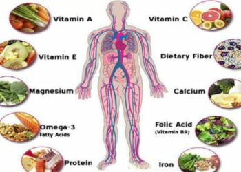 The Role of Vitamins and Minerals in the Body